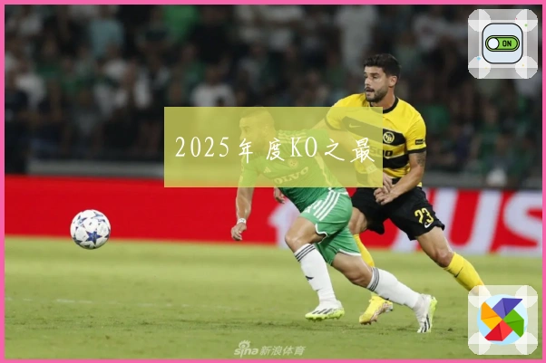 2025年度KO之最