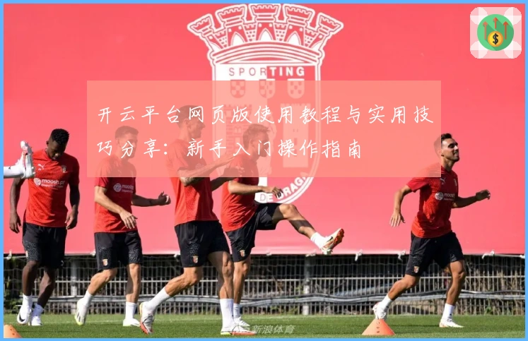 开云平台网页版使用教程与实用技巧分享:新手入门操作指南